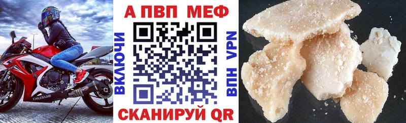 Альфа ПВП СК  Каргополь 