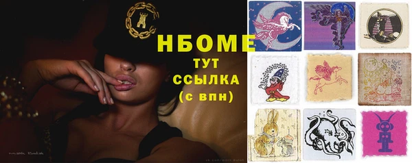 гидропоника Алзамай