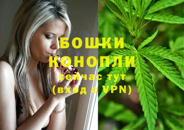 каннабис Алексеевка