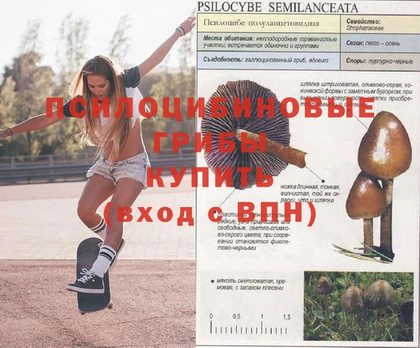 героин Абинск