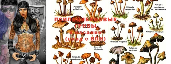 гидропоника Алзамай