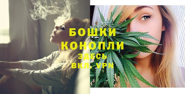 индика Нязепетровск