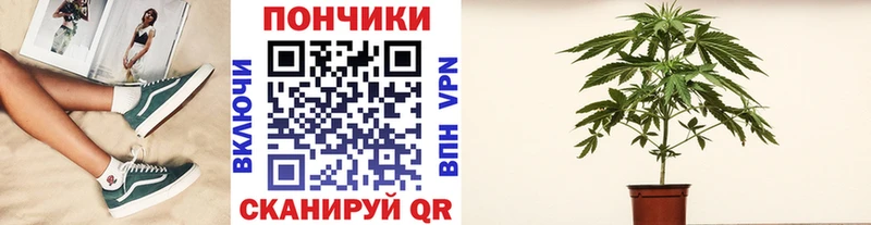 Каннабис индика  гидра ссылки  Каргополь  купить наркотик 